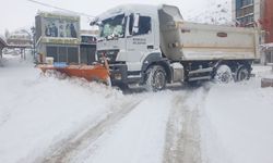 Van'da kardan 390 yerleşim yerinin yolu kapandı, okullar tatil edildi (2)
