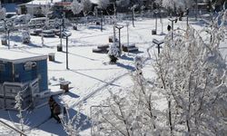 Van'da kardan 390 yerleşim yerinin yolu kapandı, okullar tatil edildi