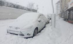 Van'da kardan 43 yerleşim yeri ulaşıma kapandı