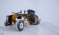 Van'ın 2 ilçesinde eğitime kar engeli