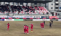 Vanspor FK - Çorum FK: 3-1