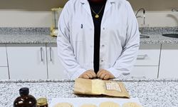 Vegan sporcular için ceviz temelli protein tozu geliştirdiler