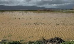 'Yağışları muhafaza edemezsek, kuraklık yaşamaya devam ederiz'