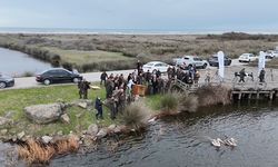Yaralı bulunan 2 pelikan, bakımının ardından doğaya salındı