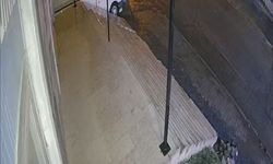 Yolda bayır aşağı kayan otomobil, elektrik direğine çarptı; anne ve oğlu yaralı