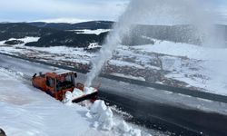 4 aydır ulaşıma kapalı olan 2 bin 600 rakımlı Bülbülan Geçidi'nde karla mücadele