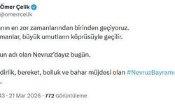 AK Parti'li Çelik'ten 'Nevruz Bayramı' mesajı