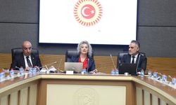 Ankara Cumhuriyet Başsavcı Vekili Akdoğan: 15-18 yaş grubundaki çocuklarımızda yaş küçüklüğüne bağlı indirimler uygulanmamalı