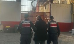 Annesini odunla başına vurup, öldürdü / Ek fotoğraf