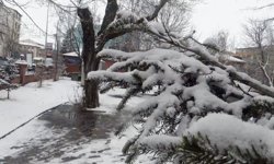 Ardahan'da kar yağışı etkili oldu