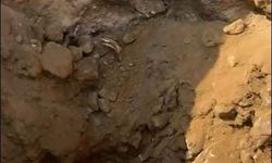 Aydın'da 16 yıldır kayıp iki kardeş ile ilgili yeniden soruşturma başlatıldı