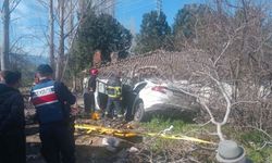 Aydın'da otomobil ağaçlara çarptı: 2 ölü, 1 yaralı