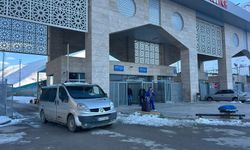 Bakan Bolat: Türkiye-İran arasında günübirlik yolcu geçişleri karşılıklı olarak durduruldu (2)