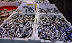 Bayram öncesi balık tezgahlarında çeşit bolluğu