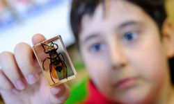 Bilim ve Teknoloji Haftası coşkuyla kutlandı