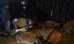 Bingöl'de sağanak su baskınlarına neden oldu; ahırda mahsur kalan keçiler kurtarıldı