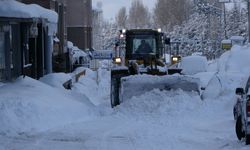 Bitlis kara gömüldü; 300 köy ve mezra yolu ulaşıma kapandı/ Ek fotoğraflar