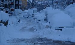 Bitlis kara gömüldü; 300 köy ve mezra yolu ulaşıma kapandı