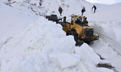 Bitlis'te 5 metreyi bulan karla mücadele/Ek fotoğraflar