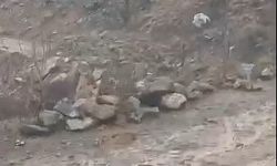 Bitlis'te çığ ve heyelan ulaşımı aksattı