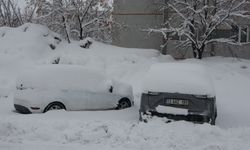 Bitlis'te kar nedeniyle 288 köy yolu ulaşıma kapandı