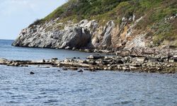 Bodrum'da deniz çekildi, tarihi 'Kral Yolu' ortaya çıktı