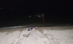 Bursa'da otomobil göle düştü: 1 yaralı