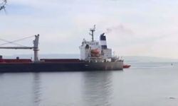 Çanakkale Boğazı'nda makine arızası yapan dökme yük gemisi karaya oturdu