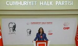 CHP'li Rızvanoğlu: Ormanlar bir kalem darbesiyle yok edilemez