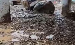 Çığ düşen kara yolunda yolcu otobüsünde mahsur kalanlar kurtarıldı (4)