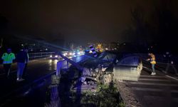 Cip, köprü korkuluklarına çarptı; 2 yaralı