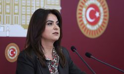 DEM Parti'li Koçyiğit: Hukuki düzenlemeler bütüncül perspektifle hayata geçirilmeli / Fotoğraflar