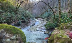 Dereye düşme tehlikesi geçirdi, yardım eden akrabalarıyla uçuruma yuvarlandı: 1 ölü, 3 yaralı