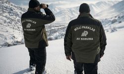 DKMP'den yasa dışı avcılığa 984,7 bin lira ceza