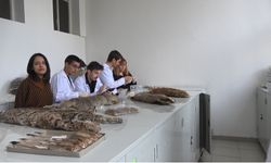 Doğada ölü bulunan hayvanlar üzerinde genetik inceleme