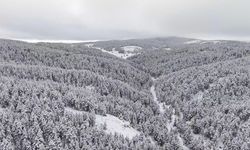 Dumanlı Tabiat Parkı'nda tablo gibi kış görüntüsü