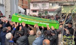 Eski Aydınspor Kulübü Başkanı ile kardeşini öldüren şüpheli adliyede (2)