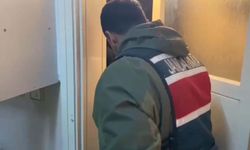 Evinde Hint keneviri yetiştiren şüpheliye gözaltı