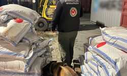Gümrüklerde 828 milyon liralık uyuşturucu ele geçirildi