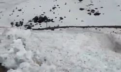 Hakkari'de köy yakınına çığ düşme anı görüntülendi