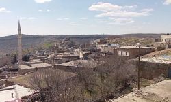 İnekteki kuduz şüphesi nedeniyle mahalle karantinaya alındı