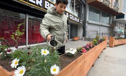 İstanbul - Avcılar'da bastonla geldi; iş yeri önündeki çiçekleri kökünden söküp çaldı