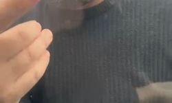 İstanbul- Beylikdüzü'nde aracın önünü kesip tehdit eden şoföre 183 bin lira ceza