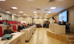 İstanbul - Şile Belediye Meclisi'nde 'barınak' tartışması: Sokakta hayvan kalmadı ki veterinerlik olarak hepsini öldürdük