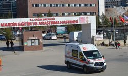 Kardeşlerin silahlı kavgası; 1 ağır yaralı