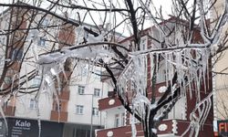 Kars'ta ağaçlar buz tuttu