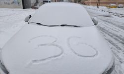 Kars'ta güneşli hava yerini kara bıraktı