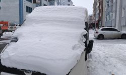 Kars'ta kar yağışı etkili oldu