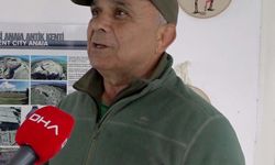 Kuşadası'nda aynı gün 3 deniz kaplumbağası ölü bulundu