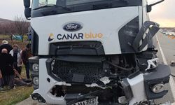 Malatya'da kamyon ile otomobil çarpıştı: 1 ölü, 1 yaralı